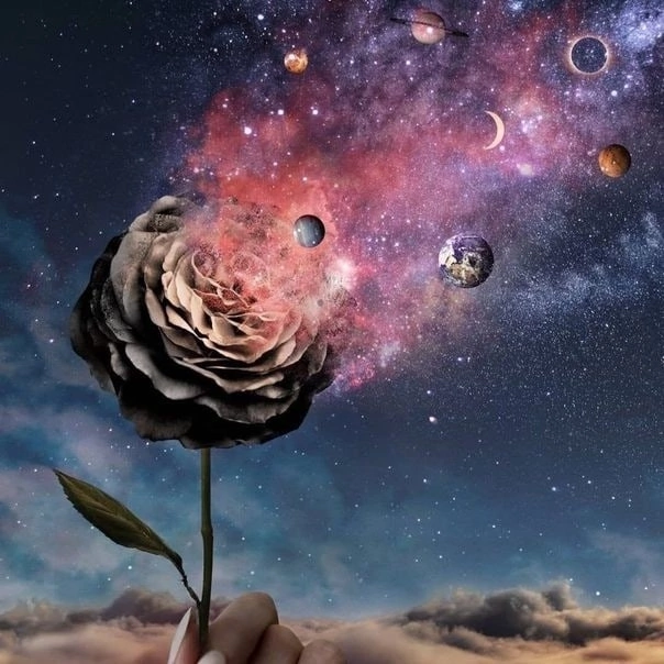 Хочется больше красоты вокруг