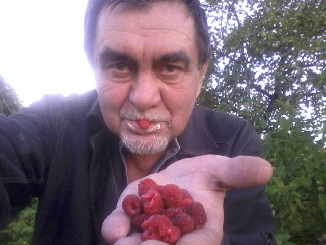 Горсть малиновой любви