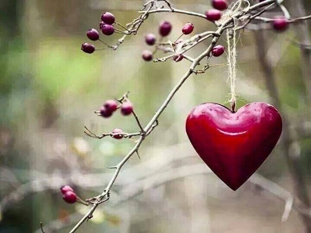 Люблю-любить!