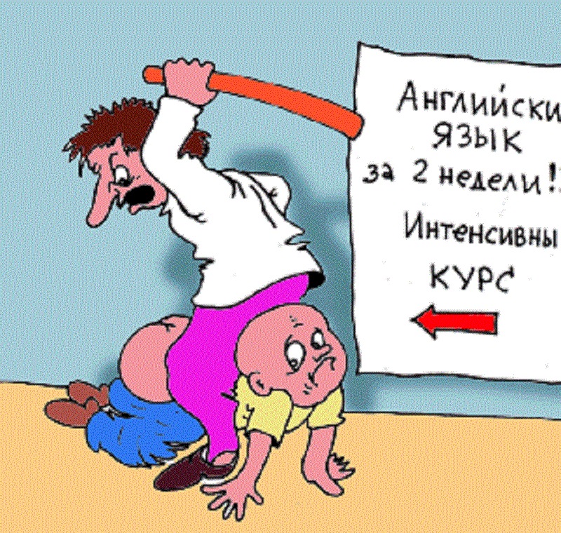 Смех лошади. Бойся коровы спереди а лошади. Смешной конь. Еврейские мудрости о жизни. Бойся козла спереди.