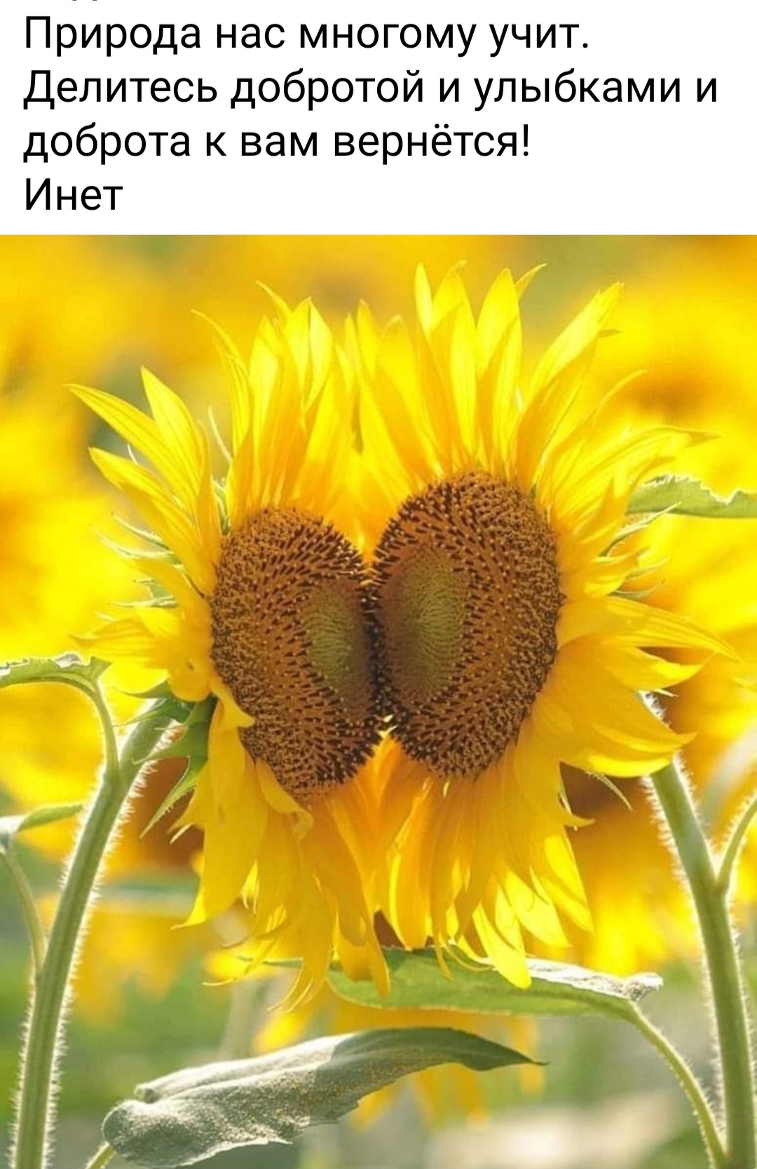 Улыбайтесь