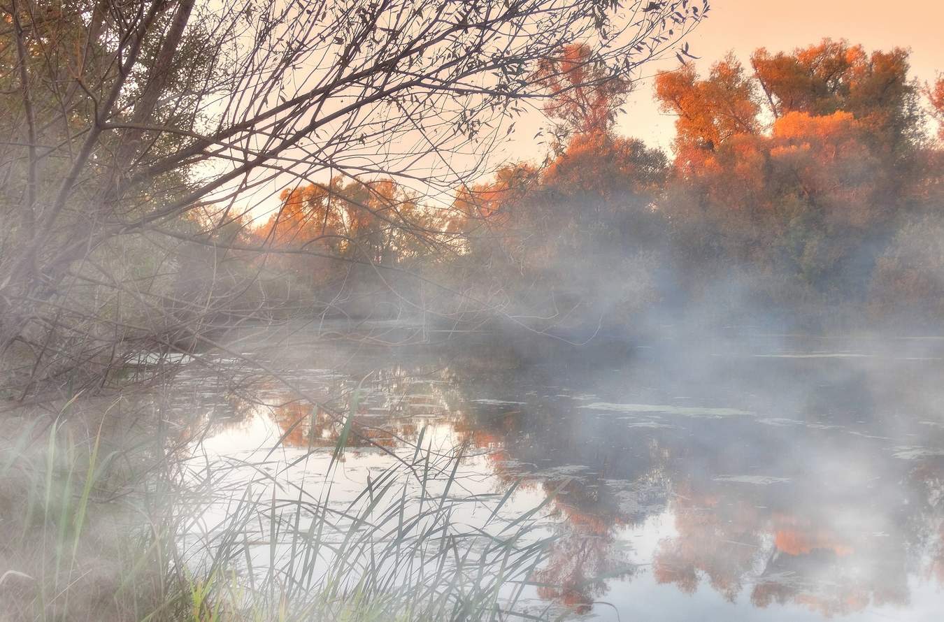 дрожала дымка. август вечер. пейзаж с дымкой. туман осенью. дрожала дымка.