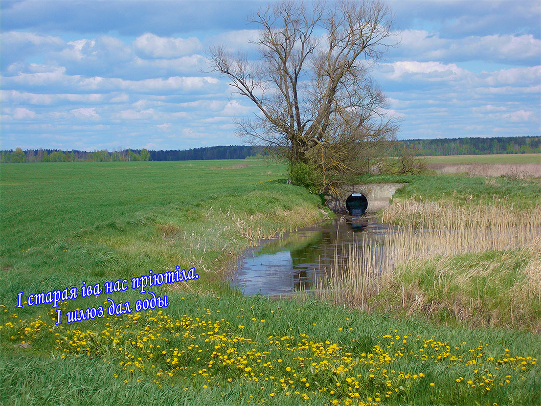 Слушаем Голос Мамы