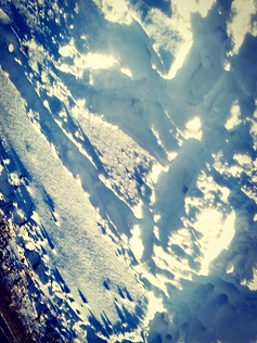 Если оброню я имя