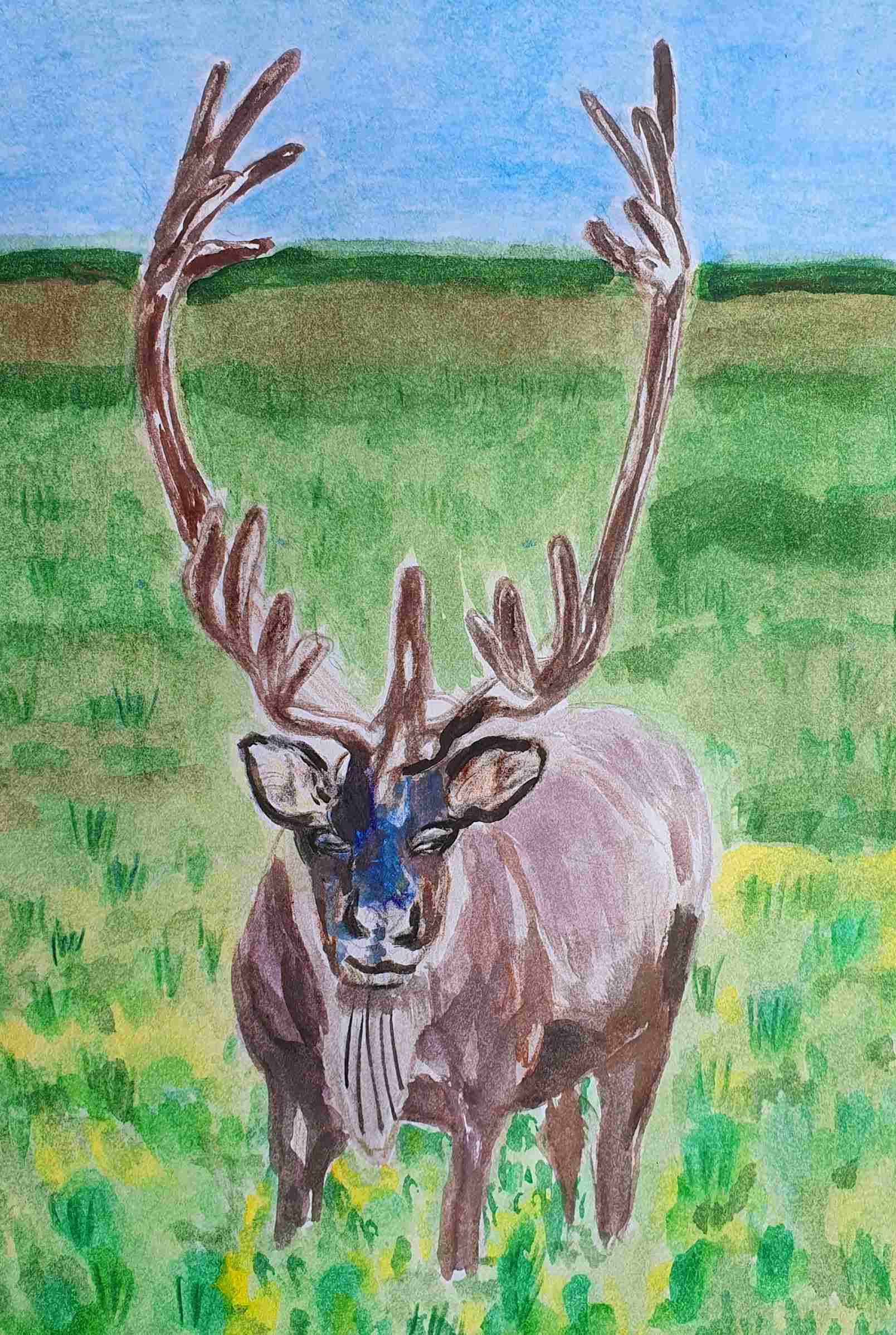 Олень лесной северный