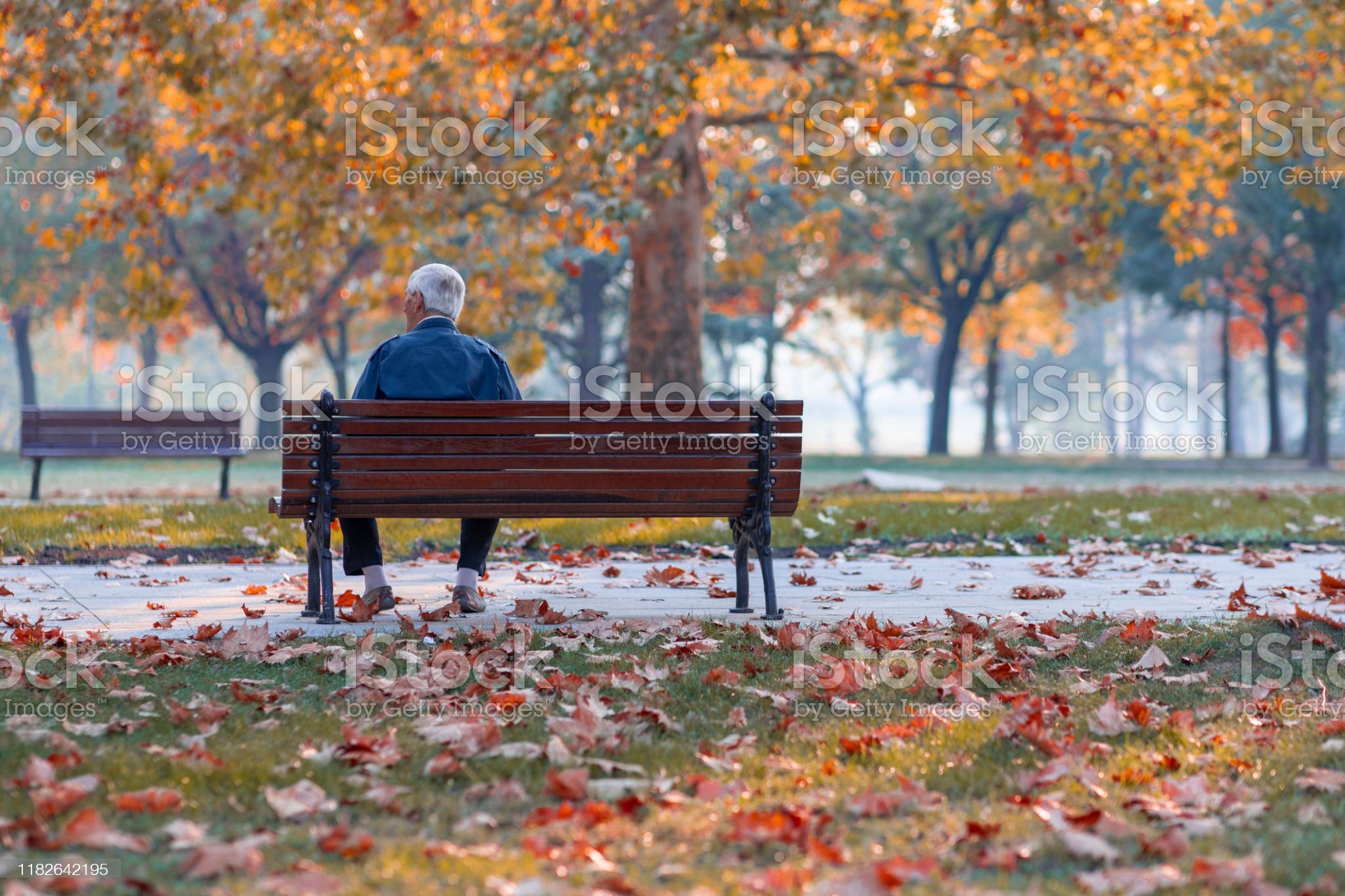 866. Клан одиночества