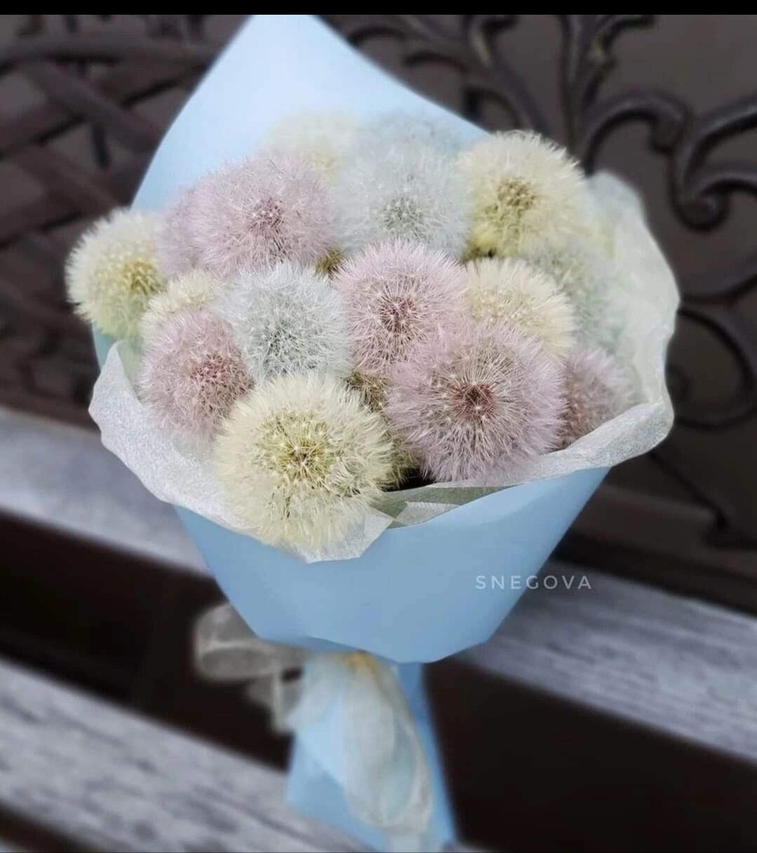 У нас впереди