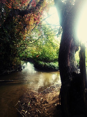 Всё требует участья, то и это