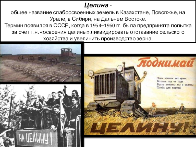 Целина начало год. Целина 1954 Хрущев. Целина освоение целинных земель Казахстан. Освоение целины Хрущев. Освоение целины это в истории СССР.