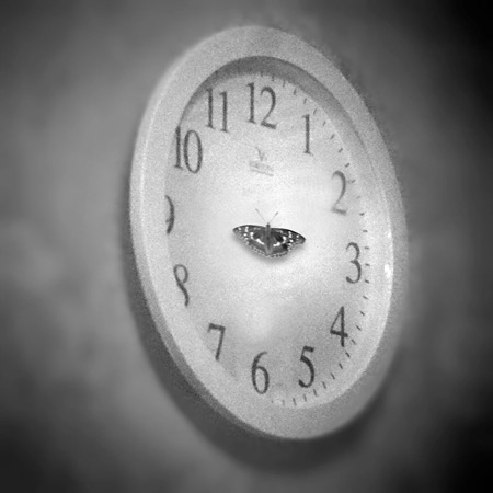 На круги своя