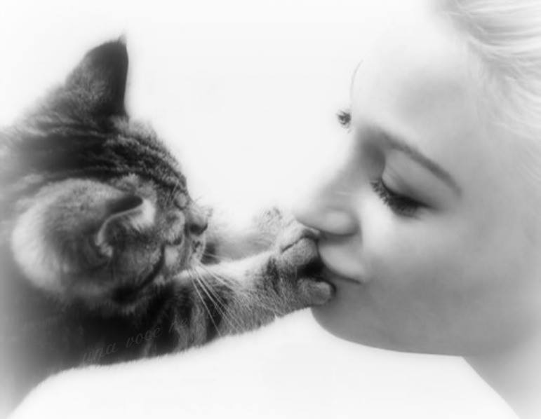 5. Совершенная любовь