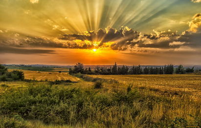 Раскраскою алой