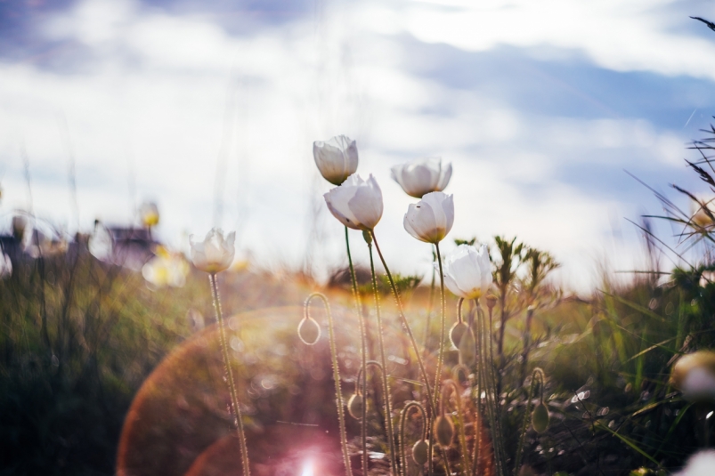 Надо верить!