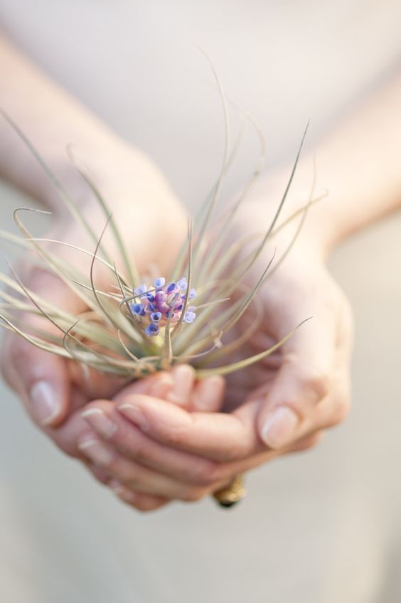 Всего лишь горсточку добра