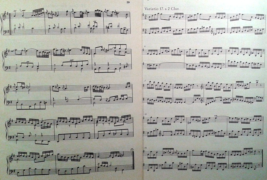 Пьесы в Гольдберг-вариациях настолько разнообразны