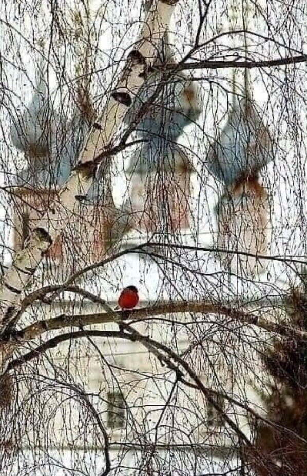 Нам вечность выдала кредит