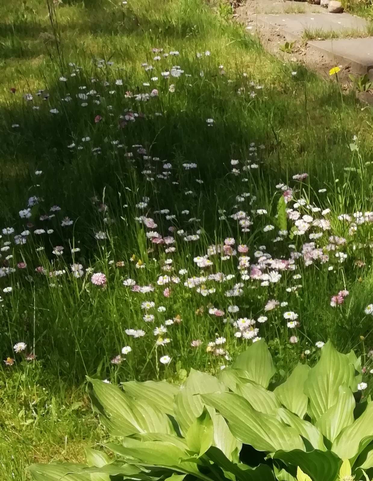 не до чего...