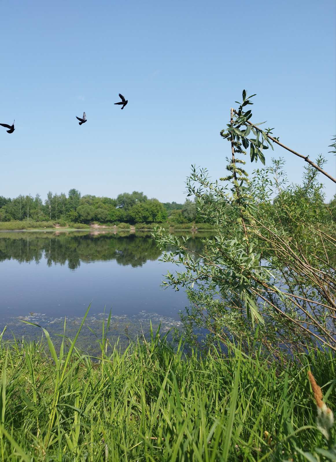 до неба... и выше...