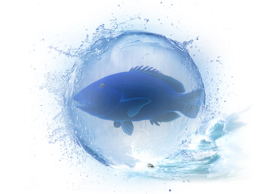 Друг в океане. Цикл Маленькие Трагедии