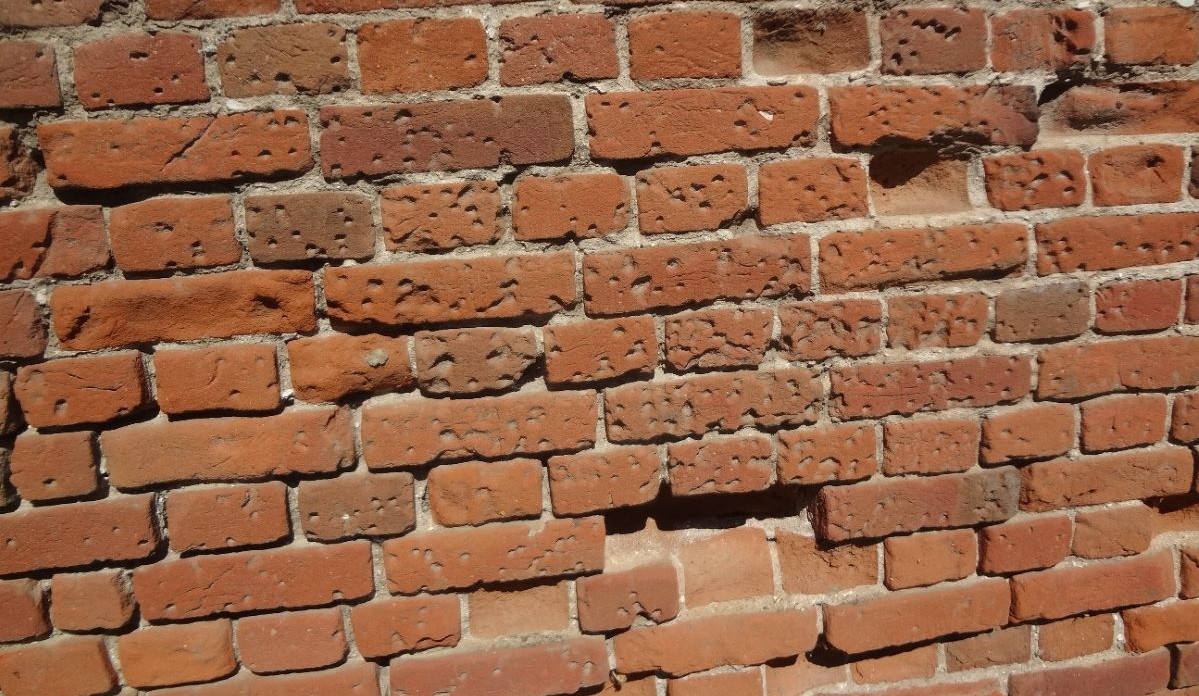 Черная смерть. Schwarze Tod