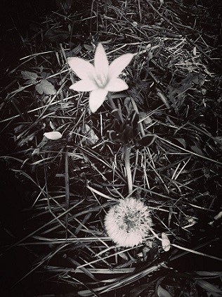 Всё, что в слове