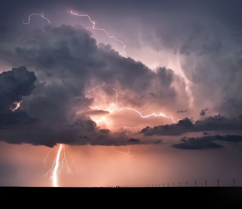 Акростих Шиповник