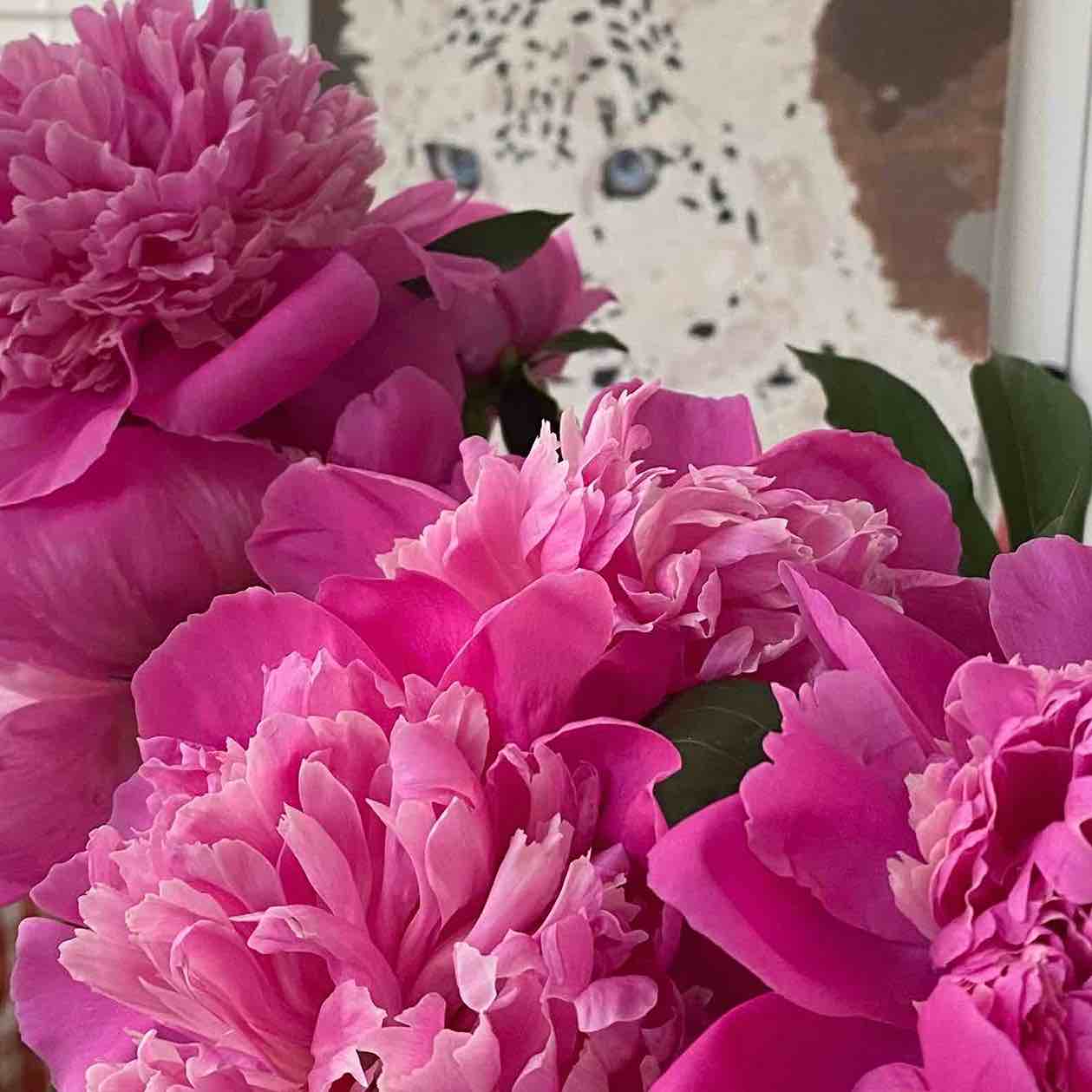 Zuhause ist, wo das Herz ist