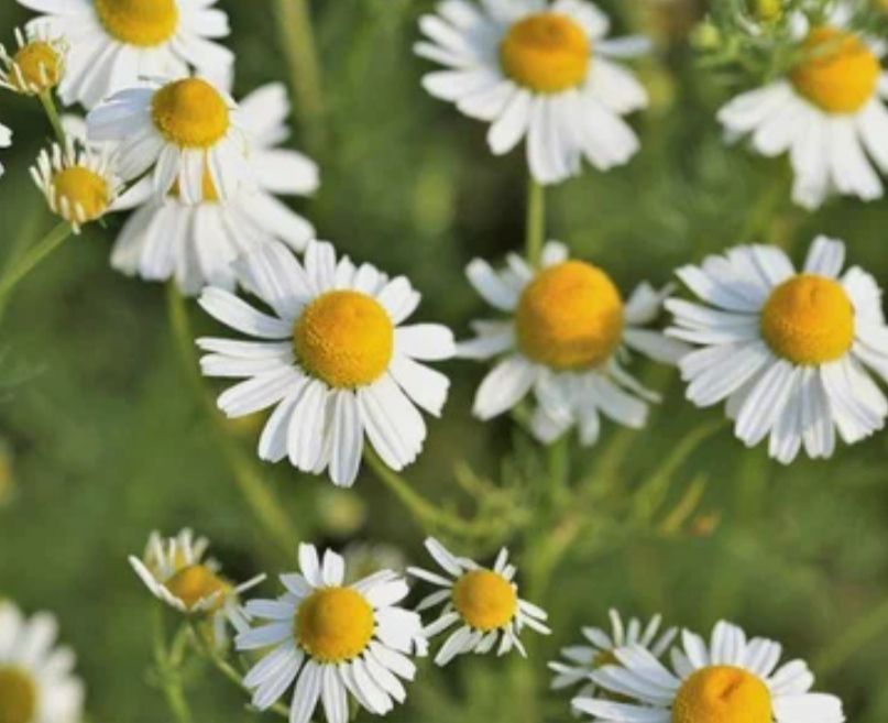 Один день детства