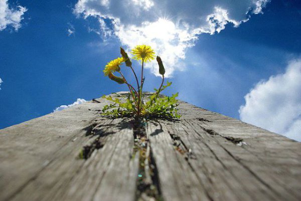 Для чего проживаем дни?..