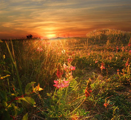 Темнота. Но какая...