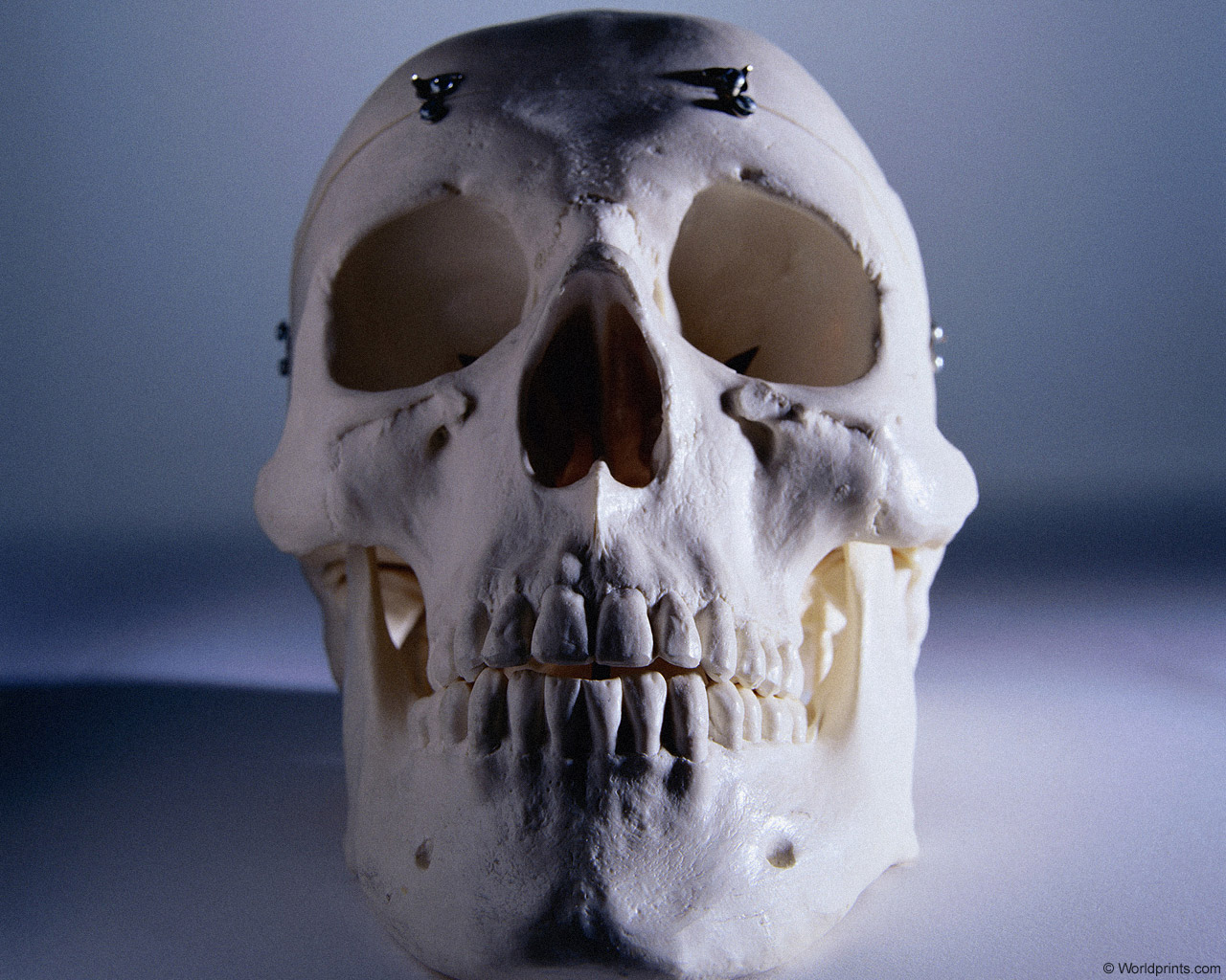 Страшная сказка