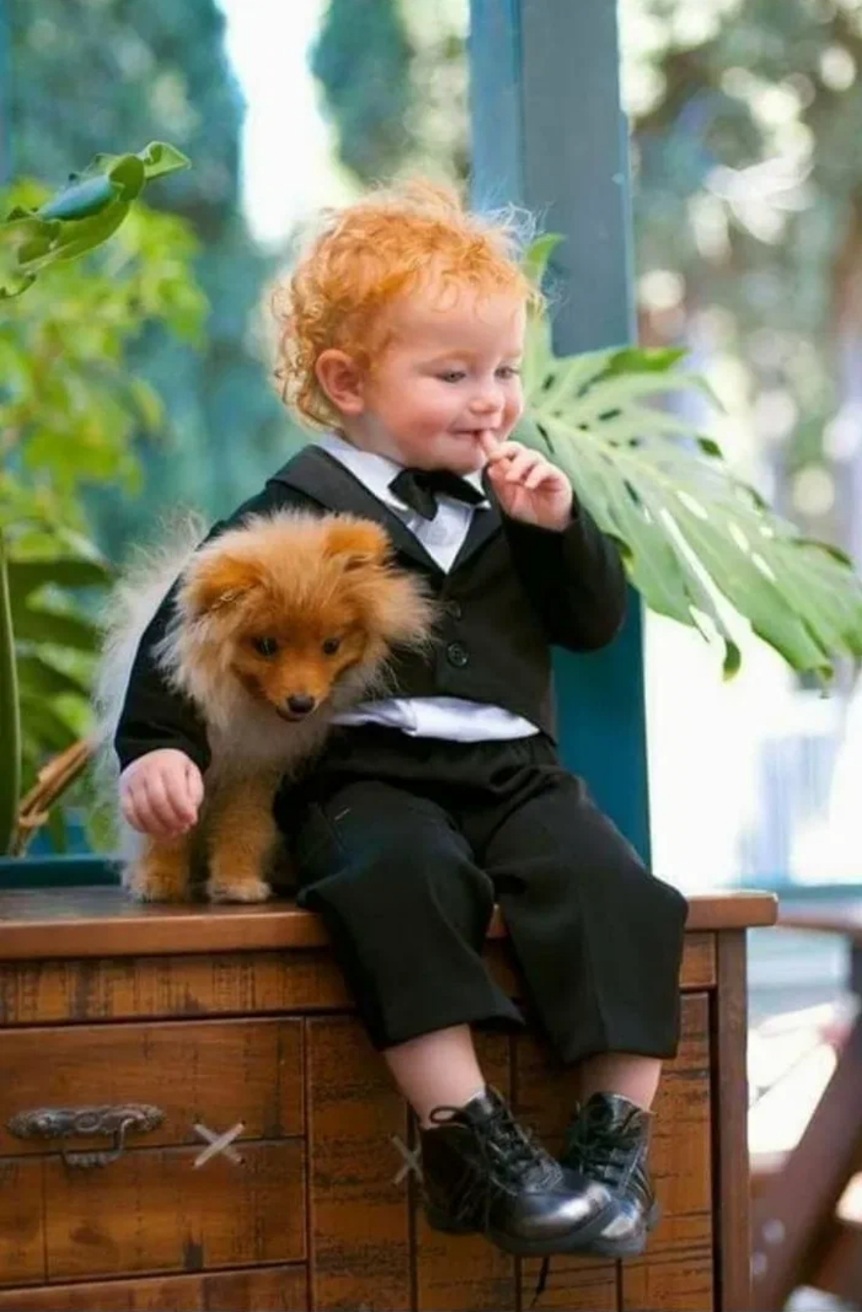 Сидело Лето на заборе...