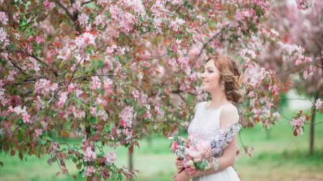 Здравствуй, лето моё