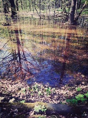 Нет точных рамок, нет зеркал