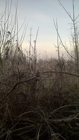 Всем тяготам здешнего мира