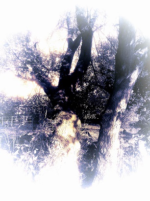 Нам слишком многое давалось