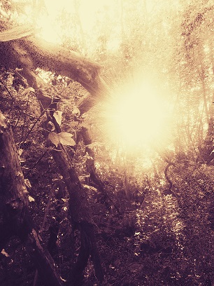 И кто поймёт