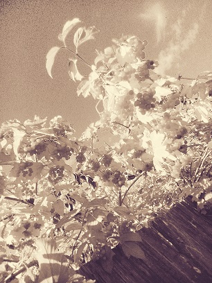 Мы дольше времени