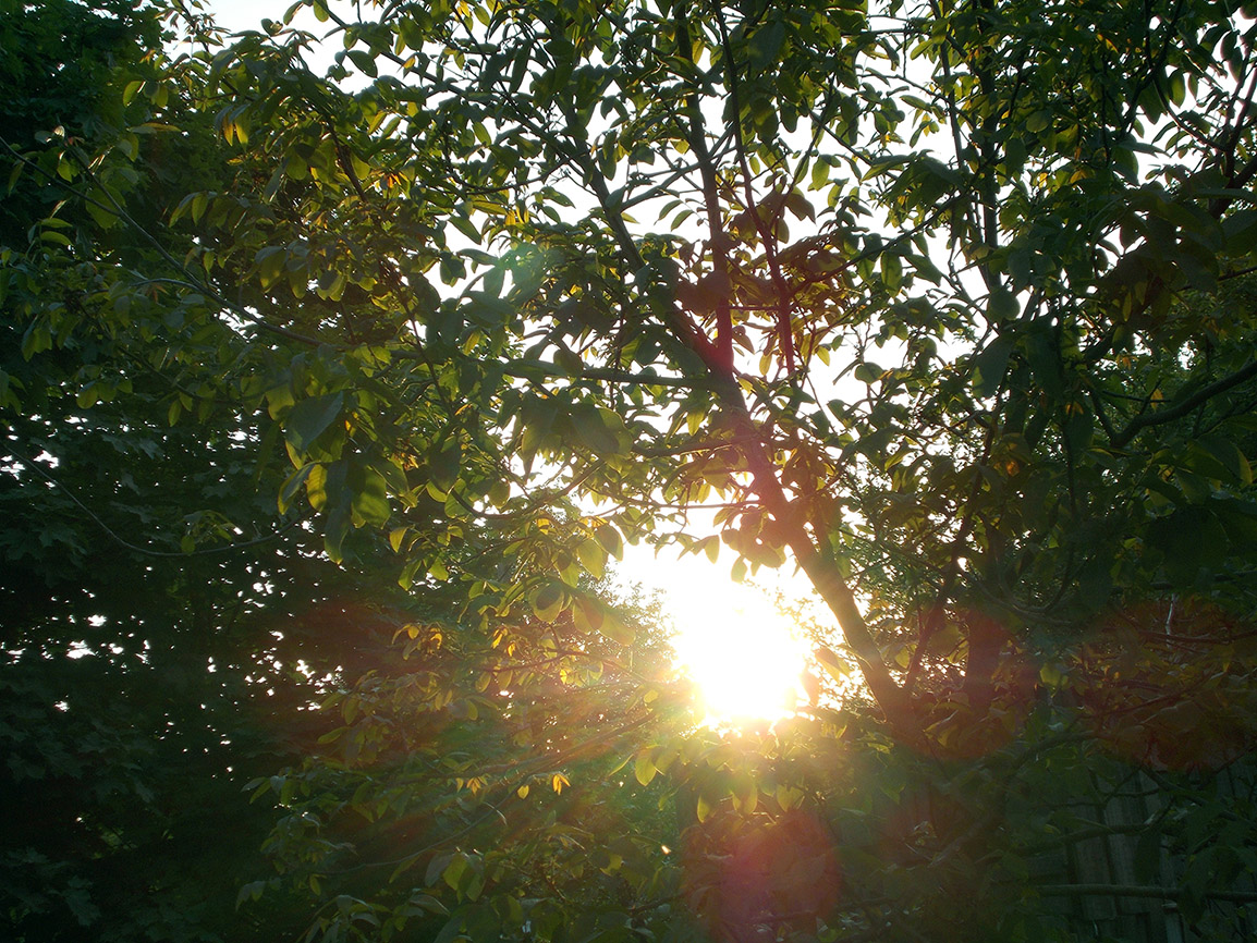 Дохнэ чы конiна?