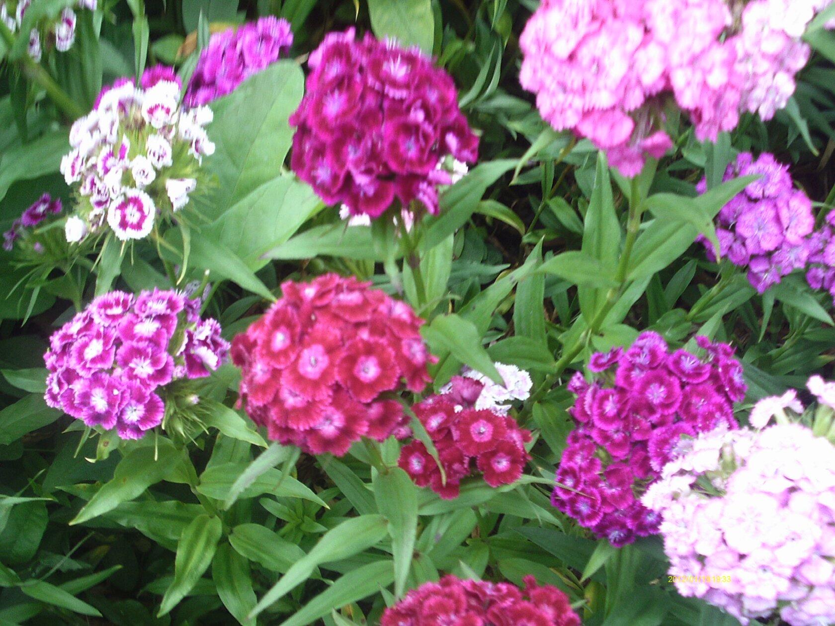 Мы и природа