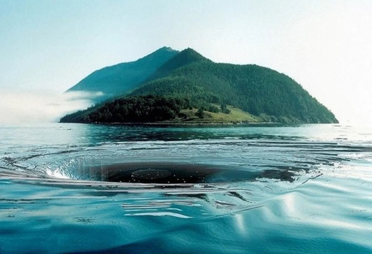 Без прошлого нет будущего