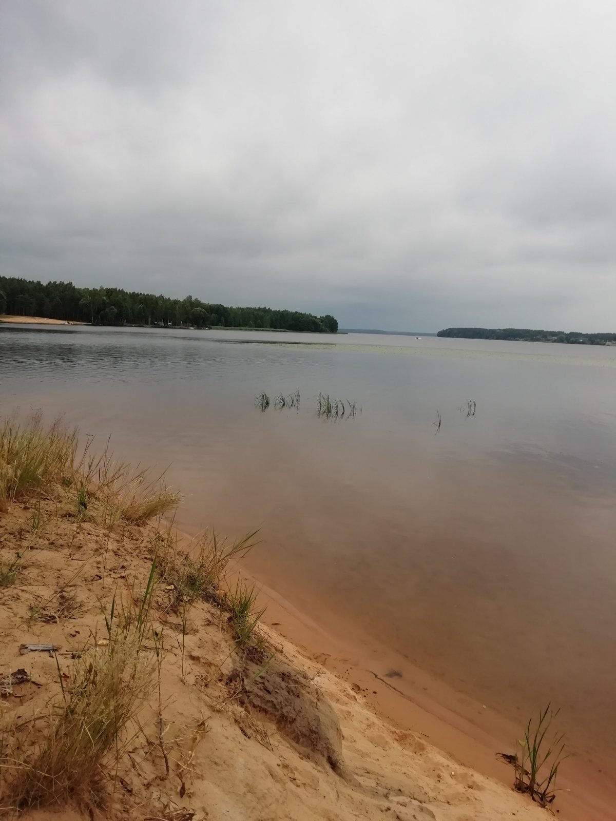 Ты шёл за мной...