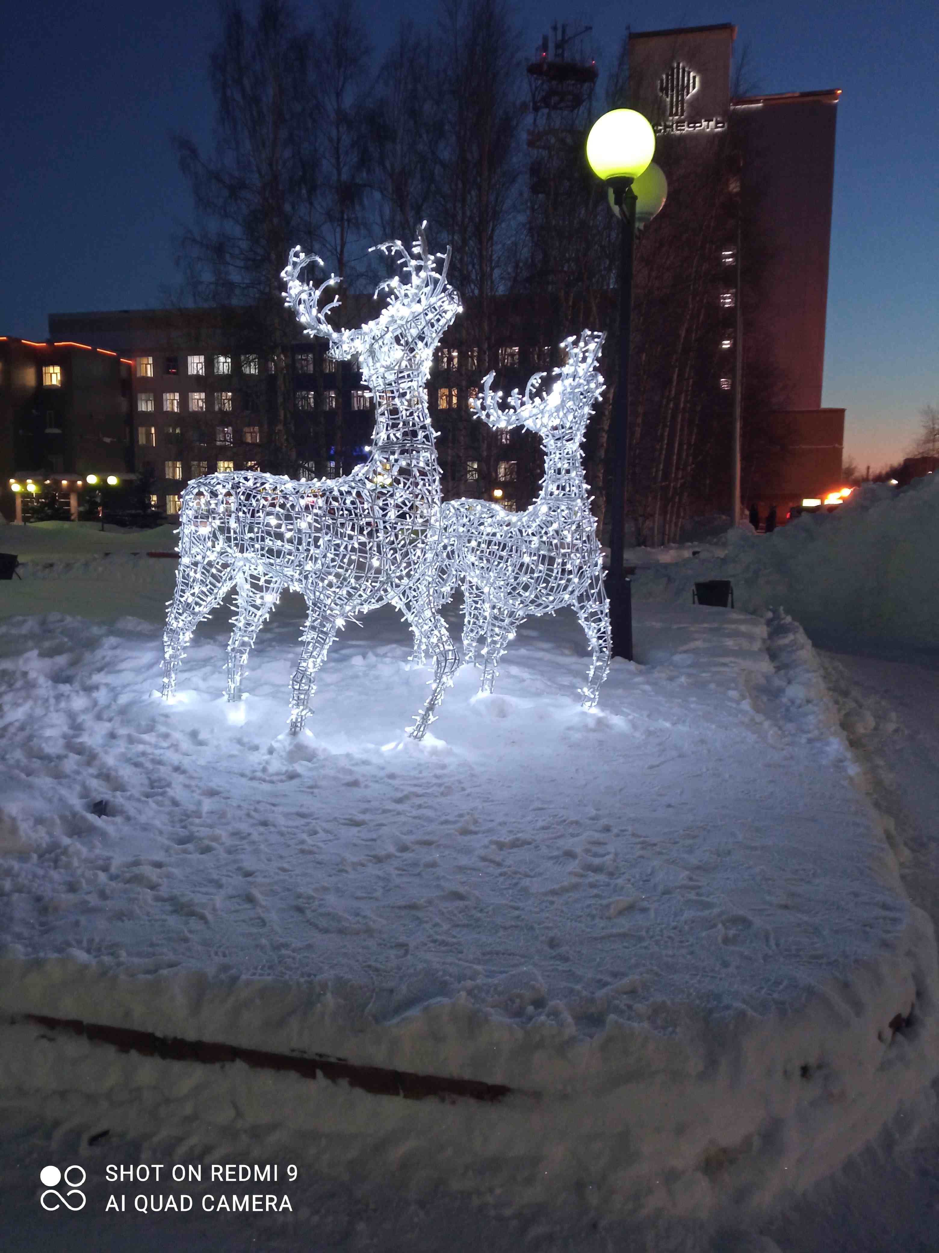 Любимый город