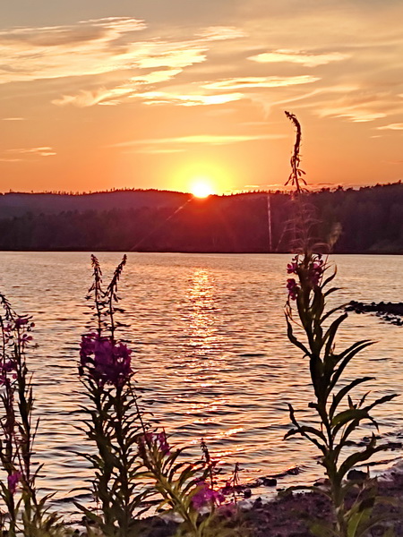 В золоте вечернем