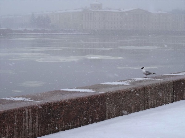 Хочу, чтобы рассеялся туман...