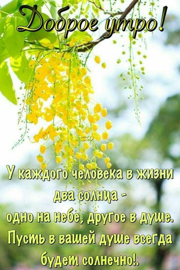 Ответ на Кому нужны теперь стихи...