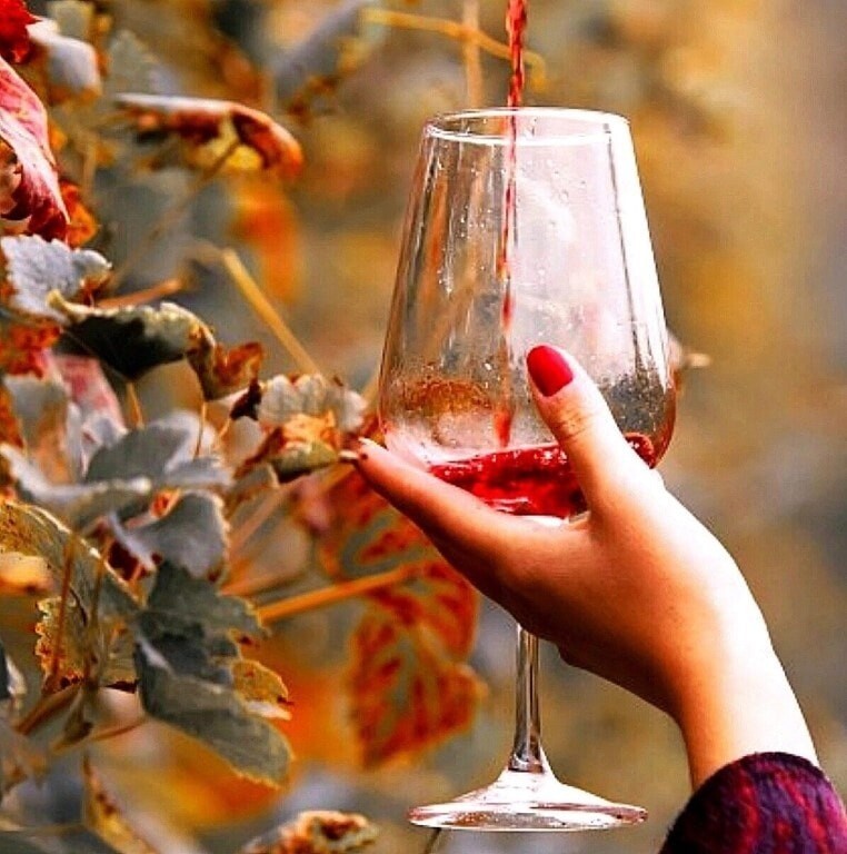 Проба вечер. Осенний бокал. Вино осень. Осенний бокал вина. Осень в бокале.