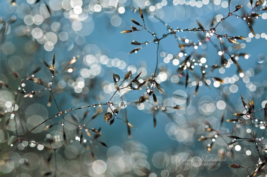 Вглядитесь в капли дождя