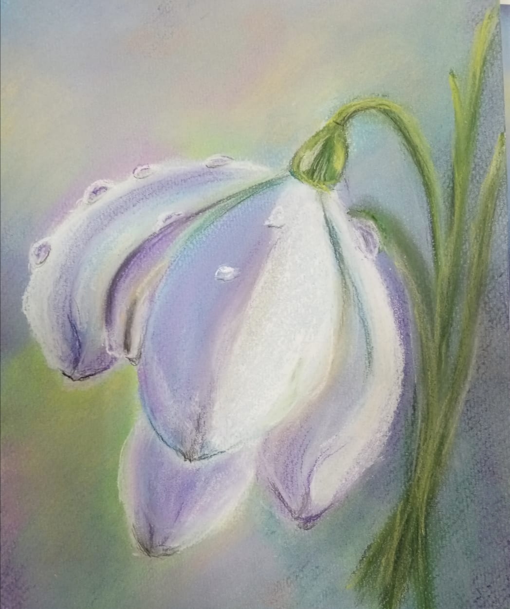 Где ты, юность?