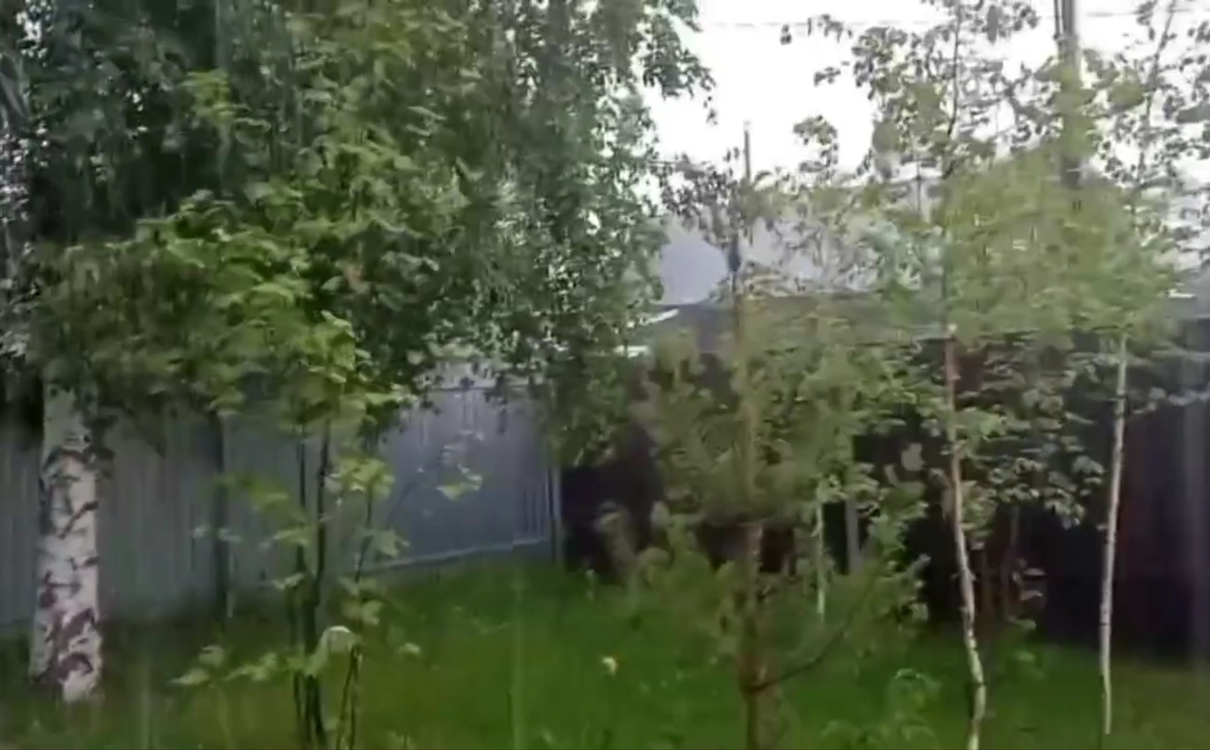 Ливень в окна застучал